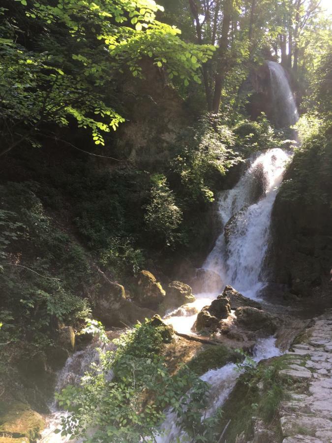 Mse Apartman Miskolc Kültér fotó