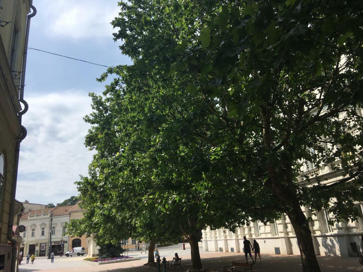 Mse Apartman Miskolc Kültér fotó